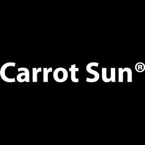 Logo Resize - Carrot Sun
